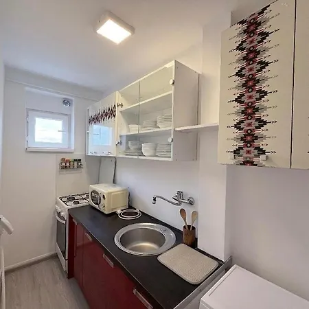 Cozy Flat In Gheorgheni Kolozsvár